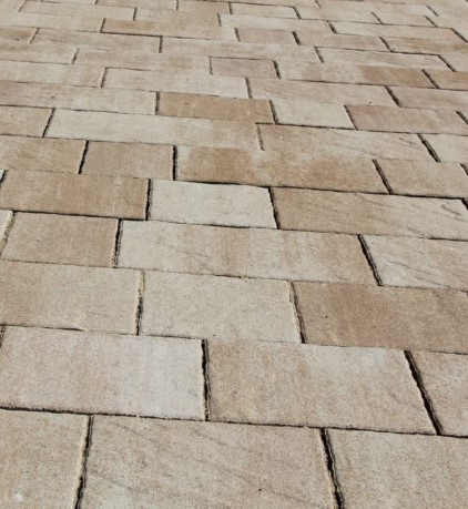 941592408-1-e1549475187928