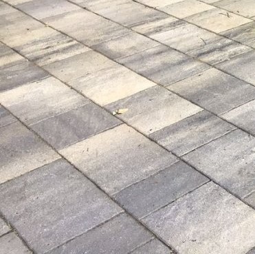 54559398885ba10dac9457f27fe69c5d