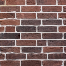 Кирпич Тонштайн WDF ейпциг(512)