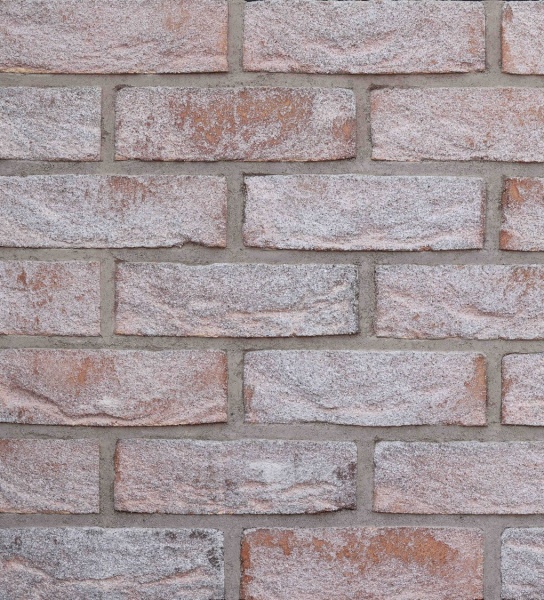 Паус 2022 сайт