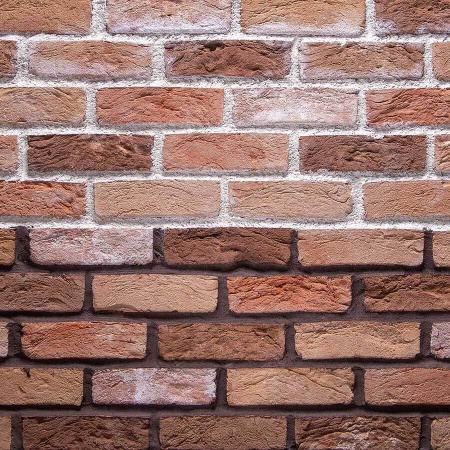 Кирпич Тонштайн WDF 