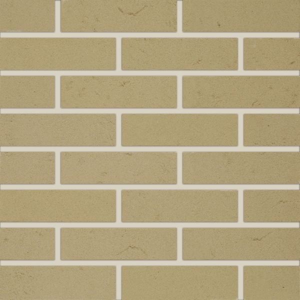 slonovaya_kost_bright