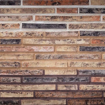 Кирпич Тонштайн РИГЕЛЬ LS "Пардо" (336 шт)