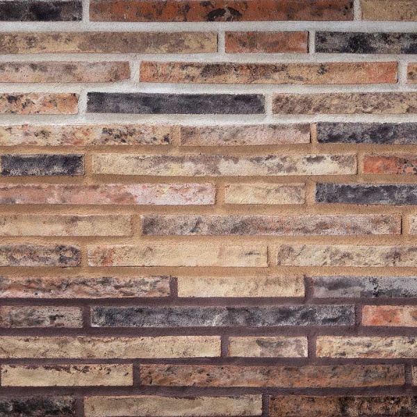 Кирпич Тонштайн РИГЕЛЬ LS "Пардо"