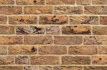 Кирпич ручной работы Тонштайн WDF "Буффало"(W160) (512)