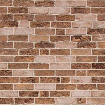 Кирпич ручной работы Тонштайн WDF "Теннесси" (W142) (512)