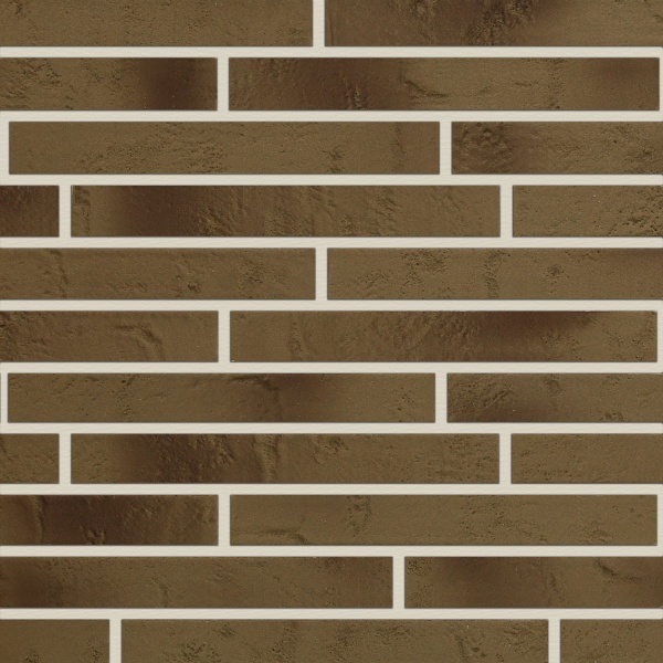 rigel-oliva-gradient-bright