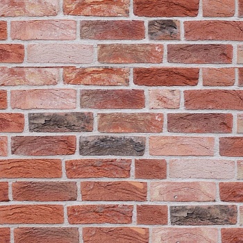 Кирпич ручной работы Тонштайн WDF "Техас" (W131) (512)