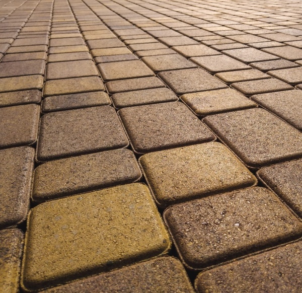 bf607a9f46fc56fcd3d5946a40fcee96-profi_w2000