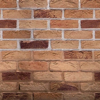 Кирпич ручной работы Тонштайн WDF 1/2 "Атакама" (W046) (1024)